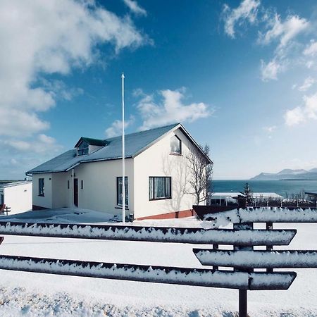 Experience Beautiful Iceland Ólafsvík Dış mekan fotoğraf