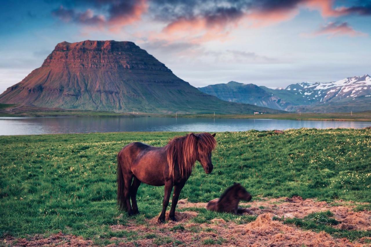 Experience Beautiful Iceland Ólafsvík Dış mekan fotoğraf