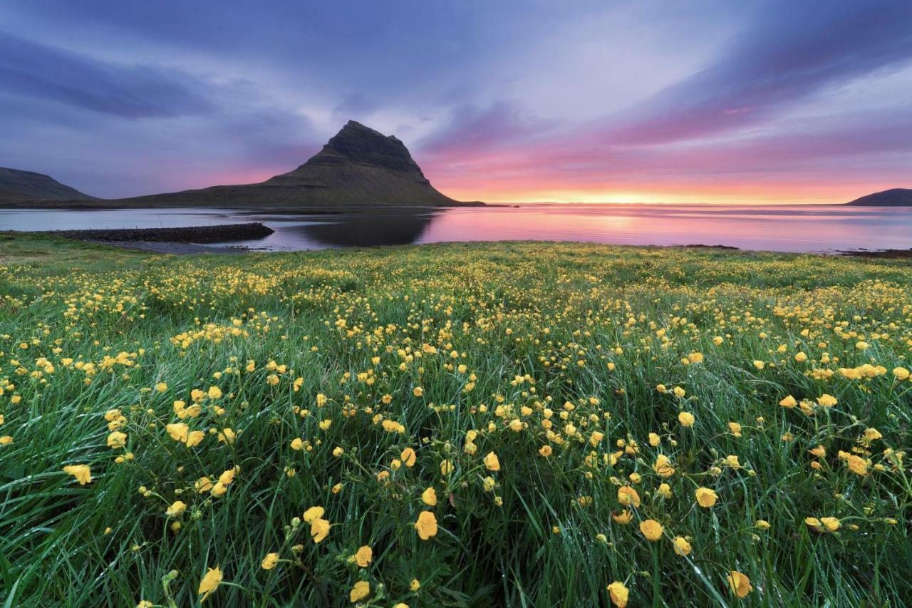 Experience Beautiful Iceland Ólafsvík Dış mekan fotoğraf